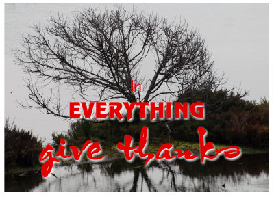 in_everything_give_thanks-001-content
