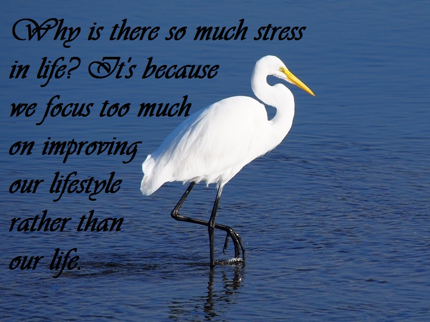 why_is_there_so_much_stress_in_life